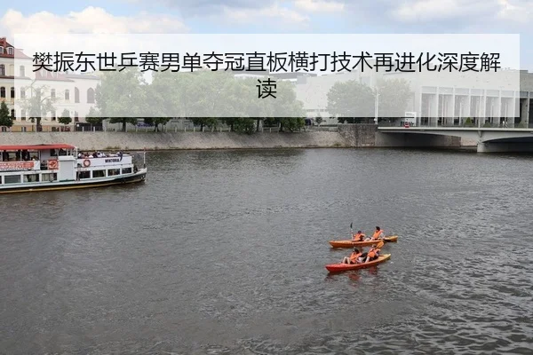 fan-zhen-dong-shi-ping-sai-nan-dan-duo-guan-zhi-ban-heng-da-ji-shu-zai-jin-hua-shen-du-jie-du-2-809.jpg